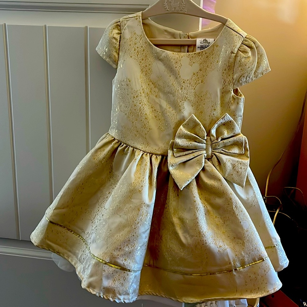 Disney dress